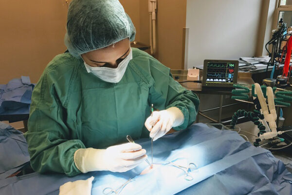 Unexpected Vet Bills? Understanding Pet Surgery Costs & Options