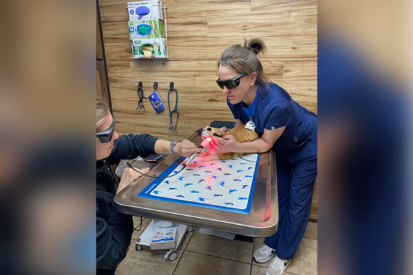 Laser Therapy for Pets: A Modern Approach to Pain Management