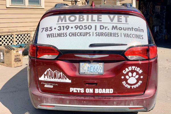 Affordable Mobile Vet Care: Transparent Pricing for Exams, Vaccines & Dental