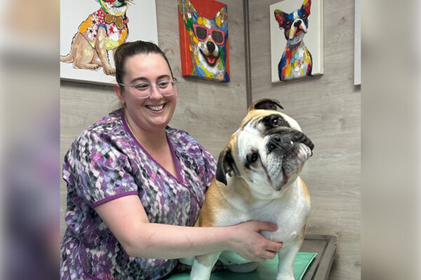 How Telemedicine and Mobile Vets Are Changing the Way We Care For Pets?