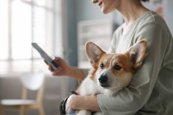 7 Situations Where a Mobile Vet Is the Best Choice for Your Pet