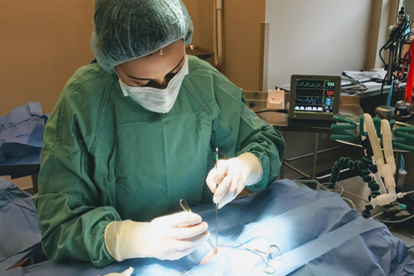 How to Prepare Your Pet for Surgery: Complete Owner Checklist