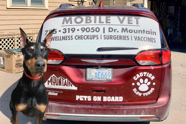 Can Mobile Veterinarians Treat Multiple Pets During One Home Visit?