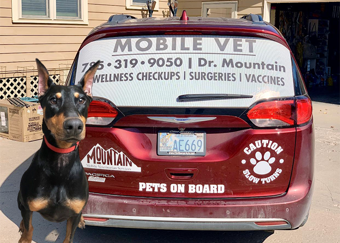 in-home veterinarian